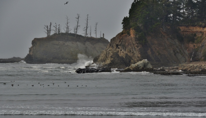 sunset bay beach